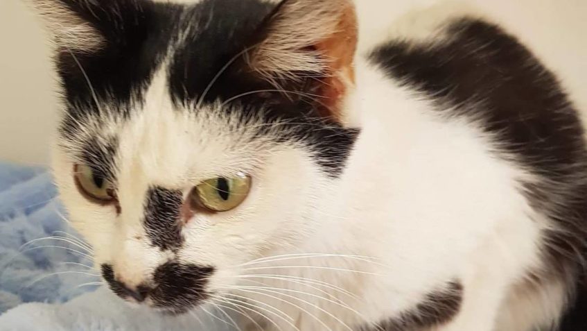 DNES JSME PŘIJALI TYTO DVĚ CHUDINKY...