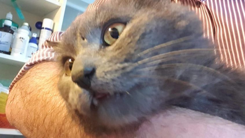 DNES NÁVŠTĚVA KLINIKY...