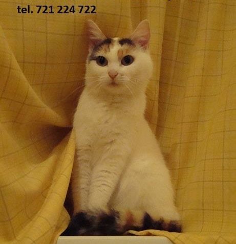 DNEŠEK JE BOHATÝ NA NE ZROVNA PŘÍJEMNÉ UDÁLOSTI, ALE NEBOJTE...