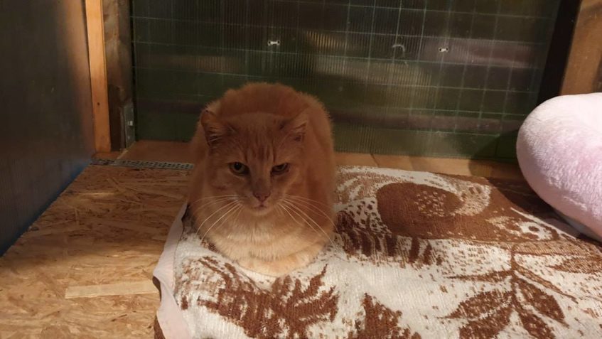 DNEŠNÍ VÝJEZD NA KLINIKU...