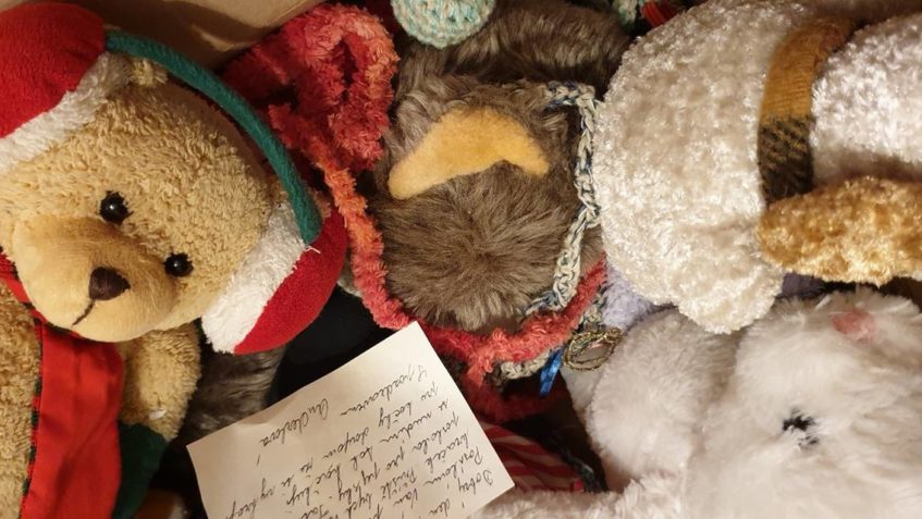 DĚKUJEME ZA BALÍČEK S HRAČKAMI PRO NAŠE KOČIČÁKY...