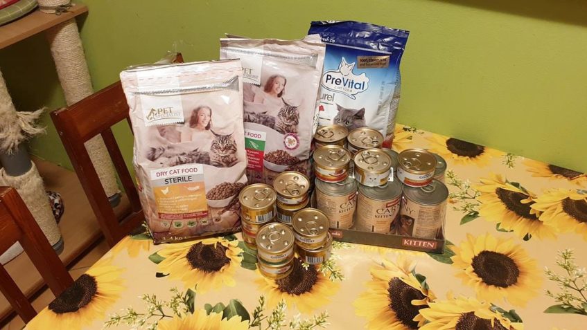 DĚKUJEME ZA DÁRKY PRO NAŠE KOČIČÁKY