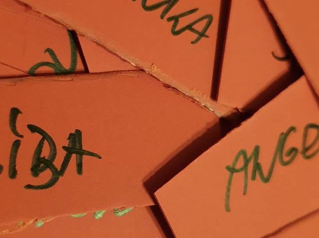 DĚKUJEME ZA VAŠE ÚŽASNÉ NÁVRHY NA JMÉNA PRO KOČIČKU, JSTE VŠ...