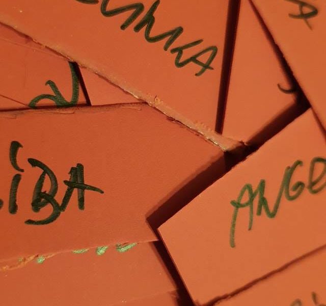 DĚKUJEME ZA VAŠE ÚŽASNÉ NÁVRHY NA JMÉNA PRO KOČIČKU, JSTE VŠ...