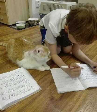 GARGAMEL   - DOMÁCÍ UČITEL...