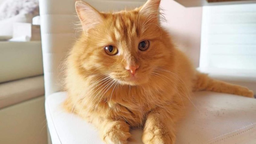 GRIFIK A JEHO ČTVRTROČNÍ SOUHRN...