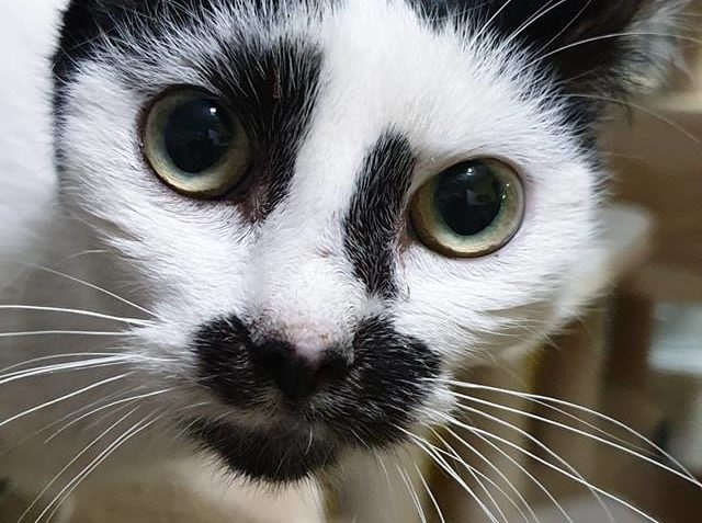 MALÁ HUBENÁ KONSTANICE JE ZATÍM STÁLE V KARANTÉNĚ...