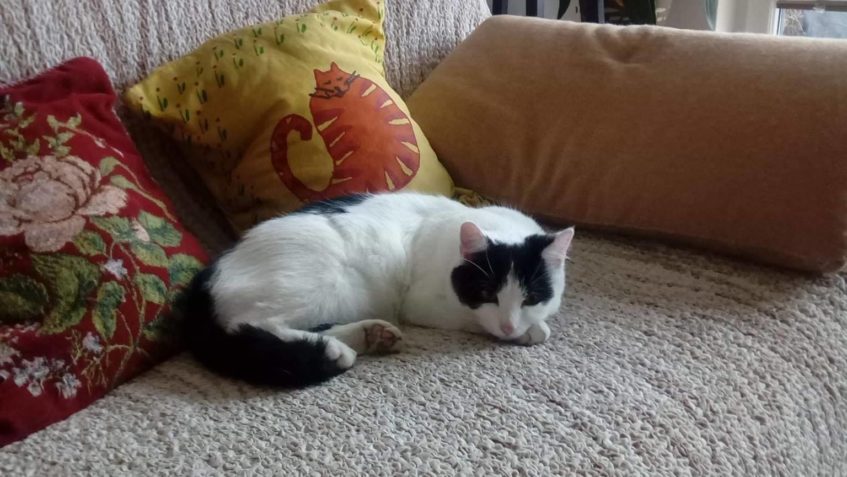 OPĚT SMUTNÝ PŘÍBĚH-LITOMĚŘICE...