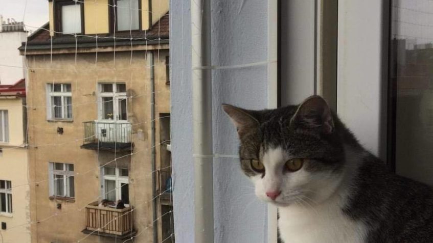 OTESÁNEK & POLÁRKA...