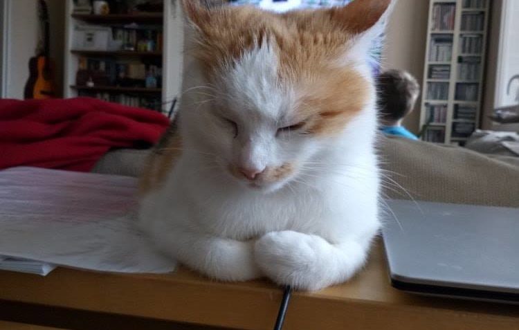 POPINKA  u nás PIPI...