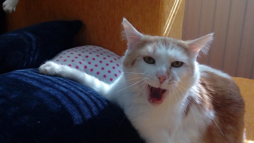 POZDRAV OD APEROLKY a OLINA...