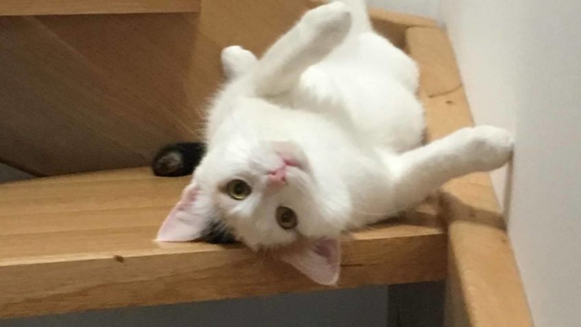 POZDRAV OD PUSINKY...