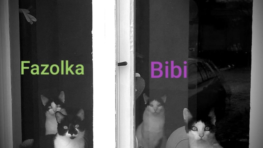 SLUNÍČKA V NOVÉM DOMOVĚ...