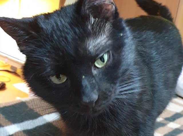 TARTÁREK SE VRÁTIL Z NOVÉHO DOMOVA...