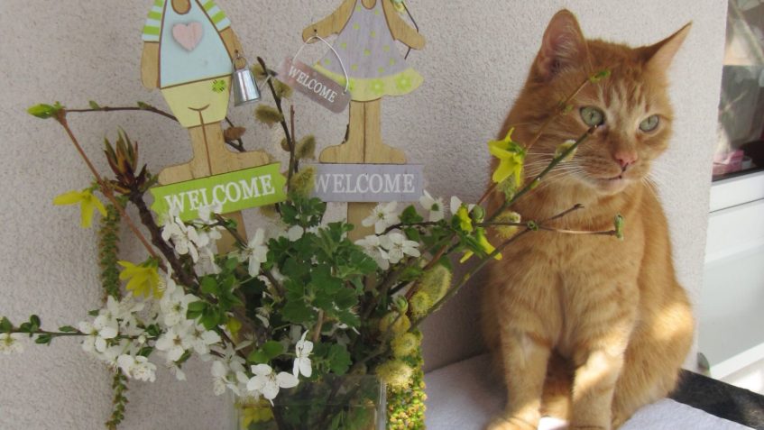 Vážení přátelé, i nákupem v aukci, která je čistě velikonočn...