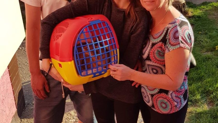 VČERA ODEŠLA DO DOMOVA NAŠE MALÁ ÚŽASNÁ KIWI . KIVI JE MALÝ ...