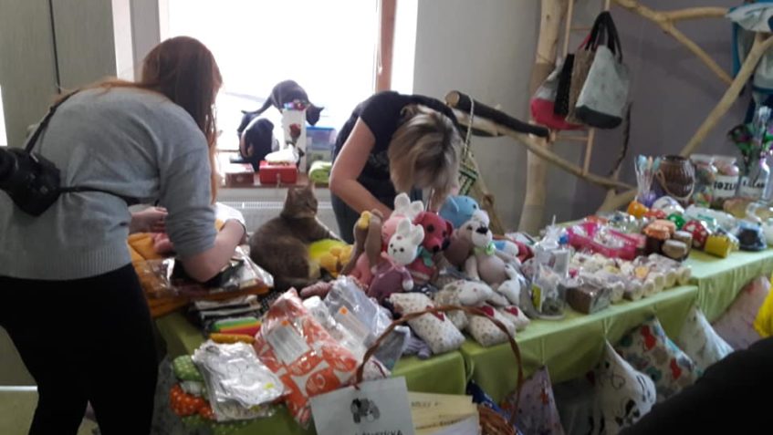 Za 20 minut začínáme