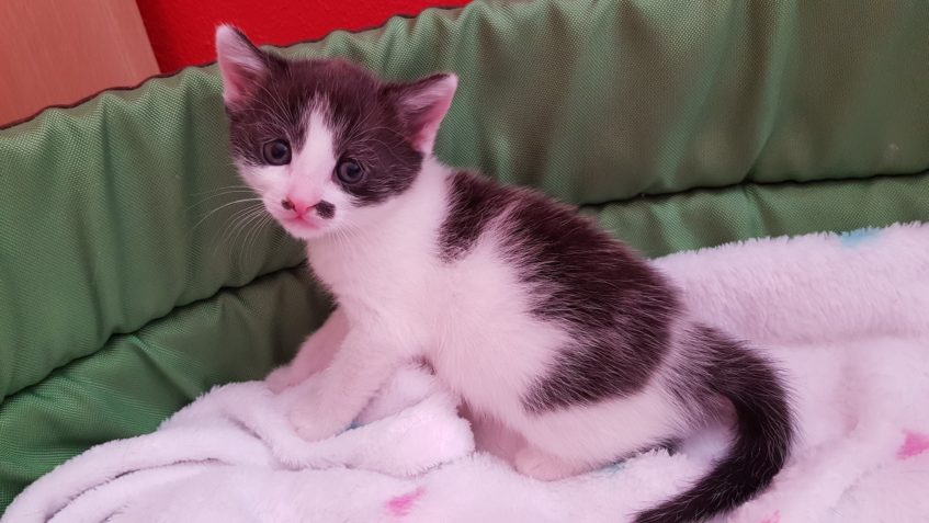 Zpravodajství do 4.4.2019...