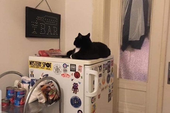 AVI alias RAIMOND...