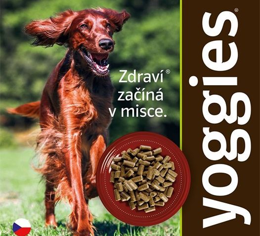 CHLUPATÝ BĚH SE KVAPEM BLÍŽÍ MOC SE TĚŠÍME POČASÍ JE OBJED...