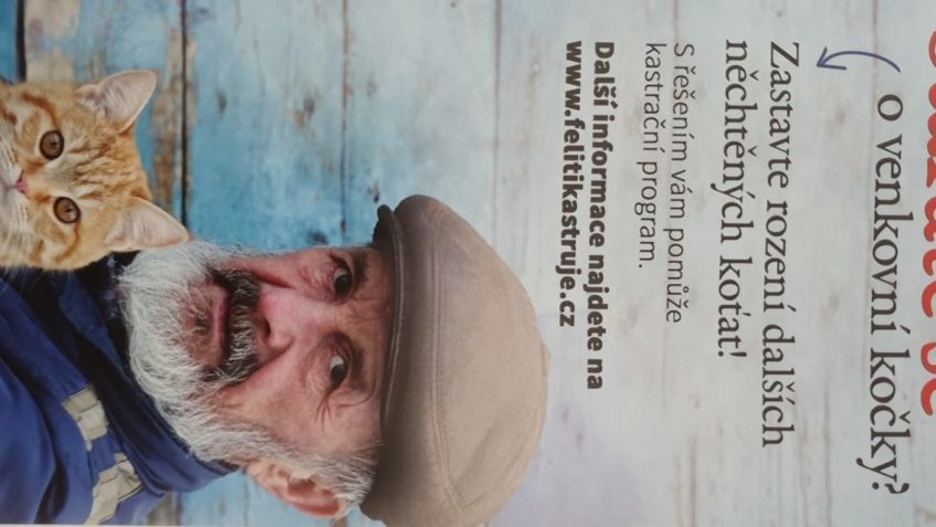 CHODÍ VÁM NA DVOREK KOČKY Z CELEHO OKOLÍ?...