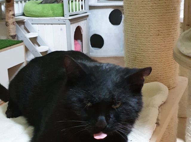 DO ŘAD SLUNÍČEK BYL OFICIÁLNĚ PŘIJAT KOCOUREK POPLÍK...