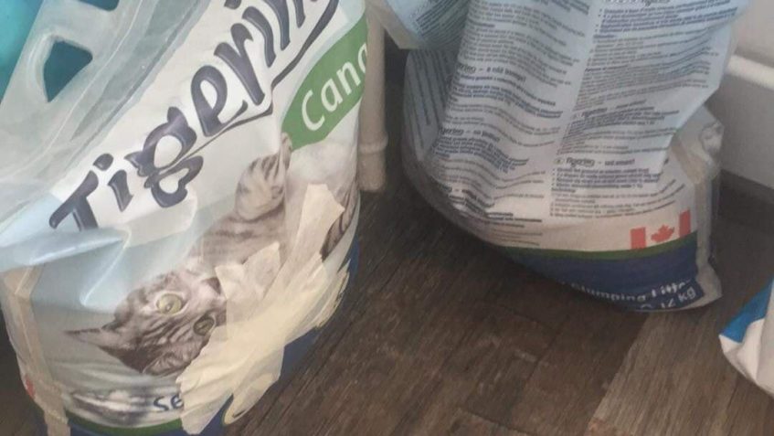 DĚKUJEME MOC ZA DNEŠNÍ DÁRKY  PRO KOČIČKY...