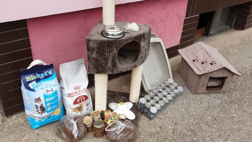 DĚKUJEME VŠEM VČEREJŠÍM NÁVŠTĚVÁM ZA DÁRKY PRO KOČIČKY