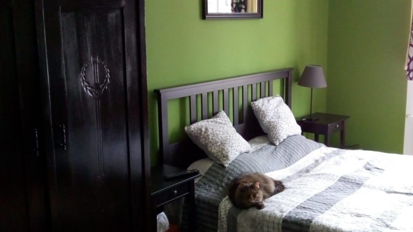 GRÁCIE alias MIA...