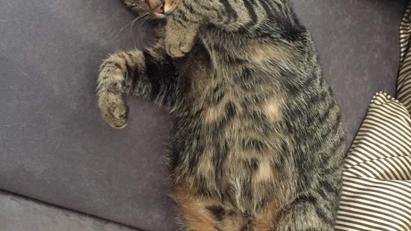 HEŘMÁNEK A  ZRZAVÝ KAMARÁD...