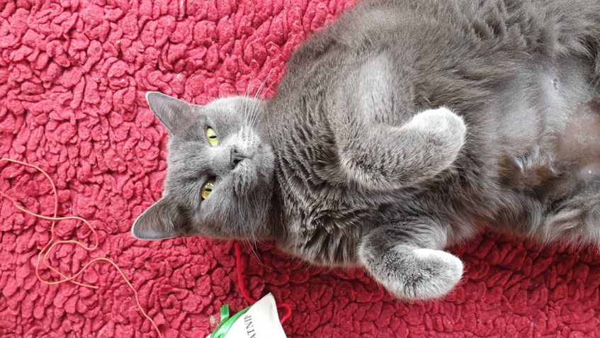 MILI   SE MOC RADA VYHŘÍVÁ NA SLUNÍČKU...