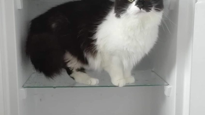 MINKA, BOLEK, BÁRA A ROBERT VÁM POSÍLAJÍ POZDRAVY...