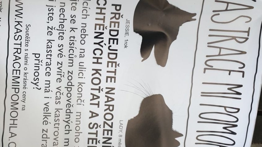 MÁME JEŠTĚ ASI 1OO KS TAKOVÝCHTO PLAKÁTŮ...