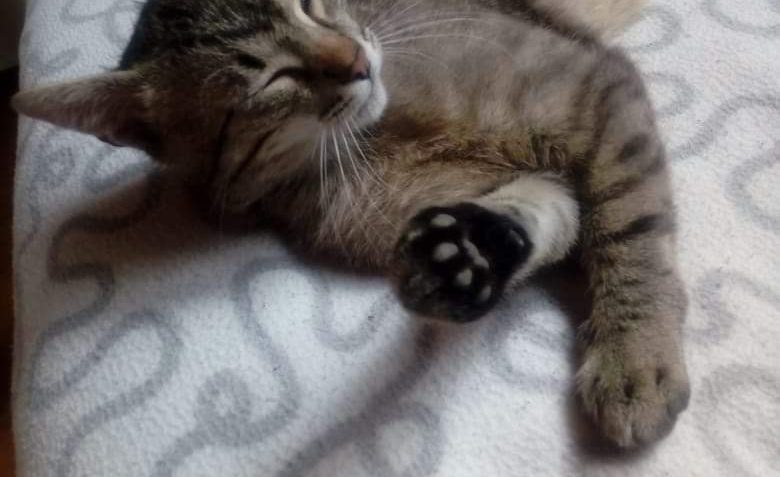 POZDRAVY OD BOŘÍKA...