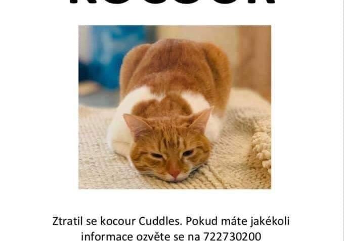 PRAHA  - PROSÍME O SDÍLENÍ A PŘÍPADNĚ POMOC S NALEZENÍM...