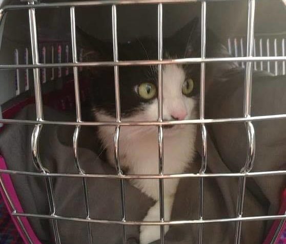 PRVNÍ POZDRAVY JOHANKY Z NOVÉHO DOMOVA...