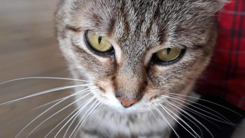 PRVNÍ ZPRÁVY OD VILEMINY...