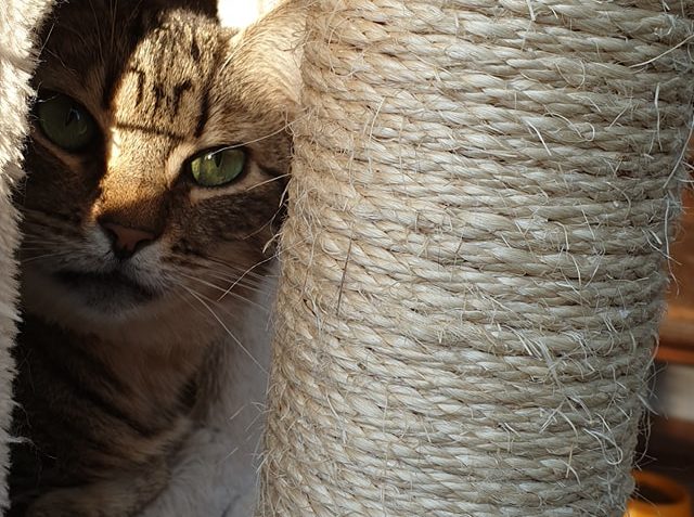 SLUNÍČKOVÁ POHODIČKA...