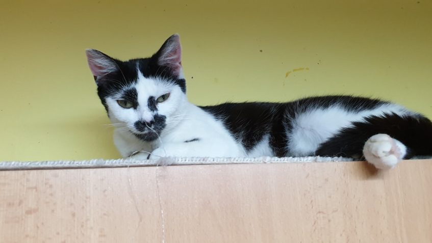 SLUNÍČKOVÍ SPÁČI