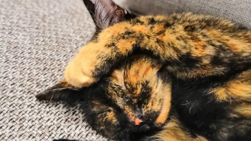 TAMARKA Z NOVÉHO DOMOVA...