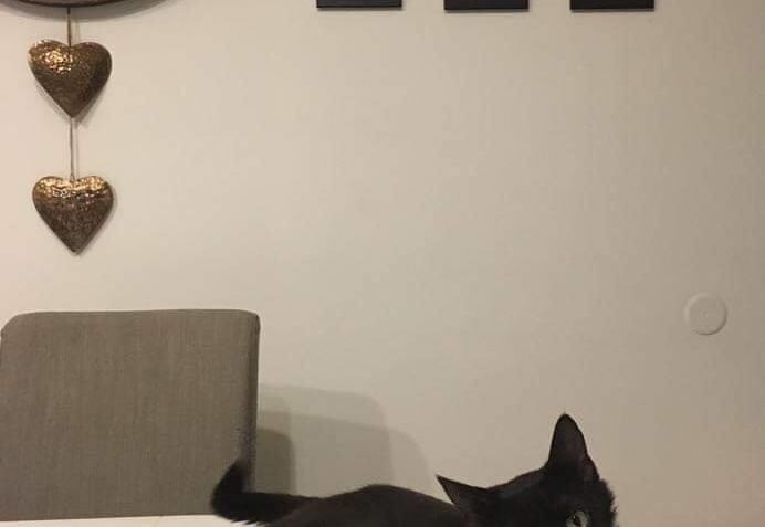 TARÁSEK V NOVÉM...