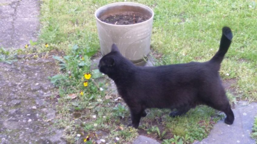 THEODORA TEĎ UŽ DORKA...