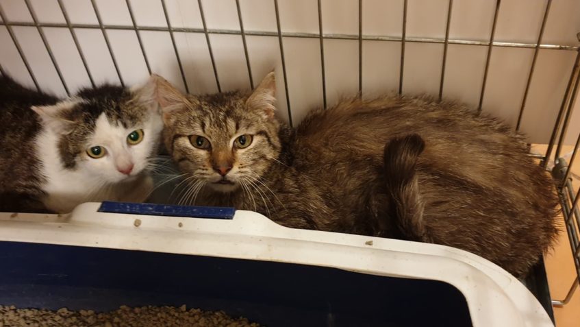 V PONDĚLÍ JSME SE DOZVĚDĚLI O DALŠÍ Z LOKALIT...