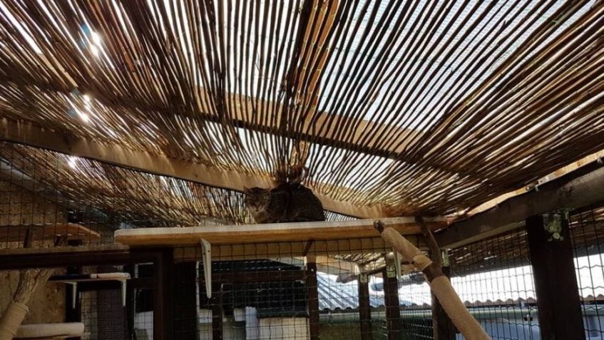 VČERA JSME MĚLI VE SLUNÍČKU PC PŘÍJEMNOU NÁVŠTĚVU...