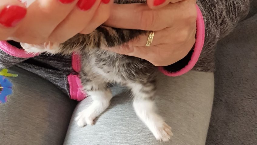 Zpravodajství do 1.5.2019...