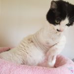 Zpravodajství od 1. do 12.5.2019...