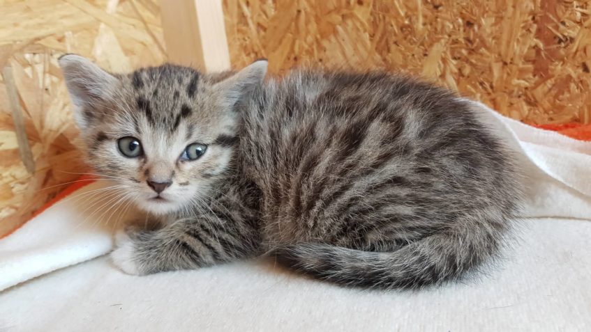 Zpravodajství od 13. do 23.5.2019...