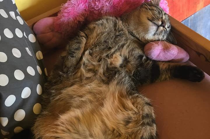 ŽOFKA, DŘÍVE HALINKA POSÍLÁ POZDRAV Z DOMOVA....