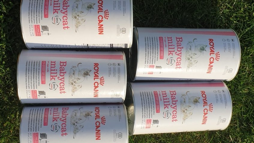 40 KOŤAT VE SLUNICKU + DALŠÍCH XY NA ČEKACÍ LISTINĚ + 62 KOČ...