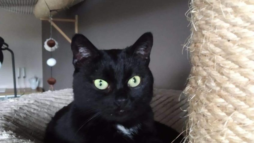 BENÍK, SLÁVEK A EVŽENEK...